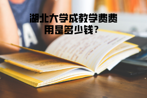 湖北大學(xué)成教學(xué)費(fèi)費(fèi)用是多少錢？