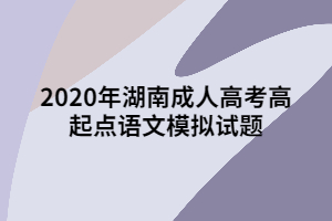 2020年湖南成人高考高起點語文模擬試題十