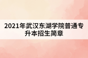 2021年武漢東湖學院普通專升本招生簡章