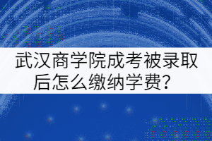 武漢商學院成考被錄取后怎么繳納學費？