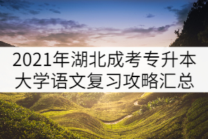 2021年湖北成人高考專升本大學語文復習攻略匯總