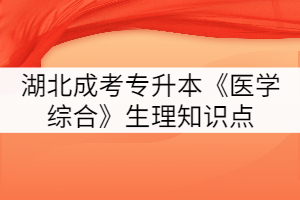 2021年湖北成考專升本《醫(yī)學(xué)綜合》生理知識(shí)點(diǎn)四