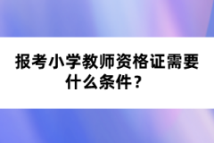 報考小學教師資格證需要什么條件？