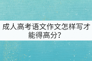 成人高考語文作文怎樣寫才能得高分？