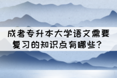 成考專升本大學語文需要復習的知識點有哪些？