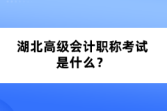 湖北高級(jí)會(huì)計(jì)職稱(chēng)考試是什么？