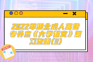 2022年湖北成人高考專升本《大學(xué)語文》復(fù)習(xí)攻略(3)