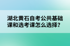 湖北黃石自考公共基礎(chǔ)課和選考課怎么選擇？