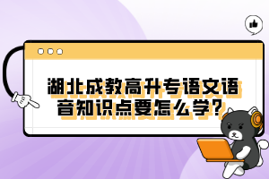 湖北成教高升專語文語音知識(shí)點(diǎn)要怎么學(xué)？