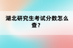 湖北研究生考試分?jǐn)?shù)怎么查？