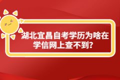 湖北宜昌自考學(xué)歷為啥在學(xué)信網(wǎng)上查不到？