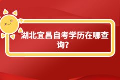 湖北宜昌自考學(xué)歷在哪查詢？